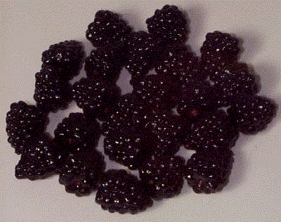 Blackberries