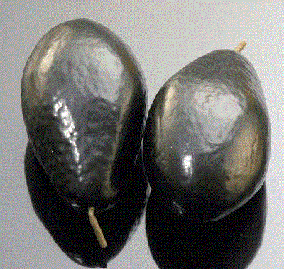 Avocados