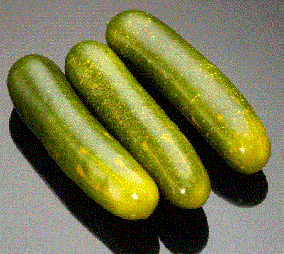 Cucumbers