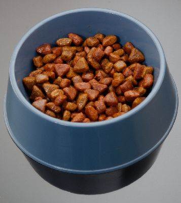 Bowl Of Dog Food