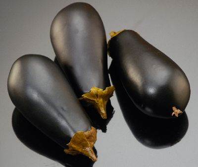 Eggplant (Black Magic)