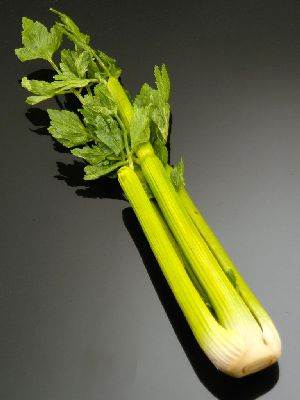 Celery Bunch