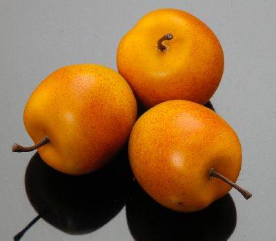 Apricots