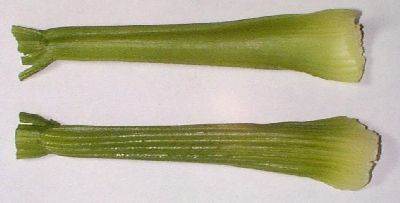 Celery Stalks