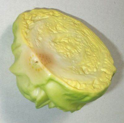 Cabbage Head