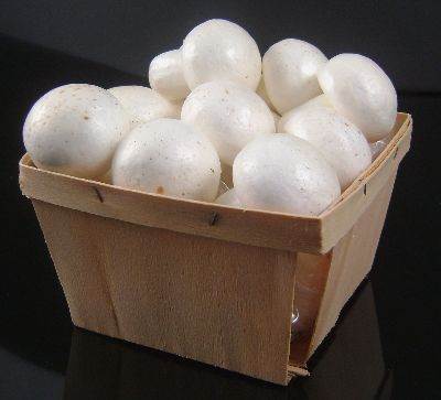 Basket (Mushroom)