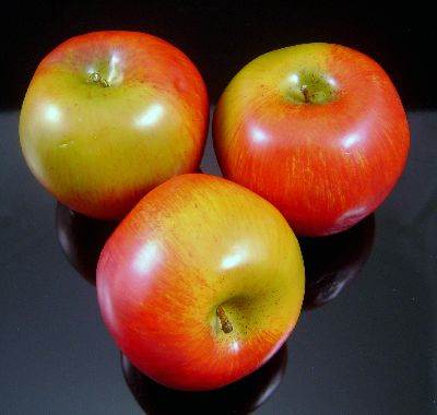 Apples Machintosh