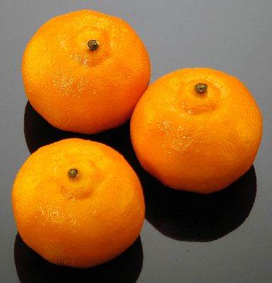 Tangerines (Honey Bell)
