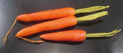 Carrots