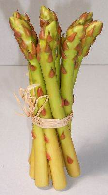 Asparagus #2