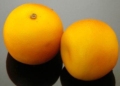 Grapefruit