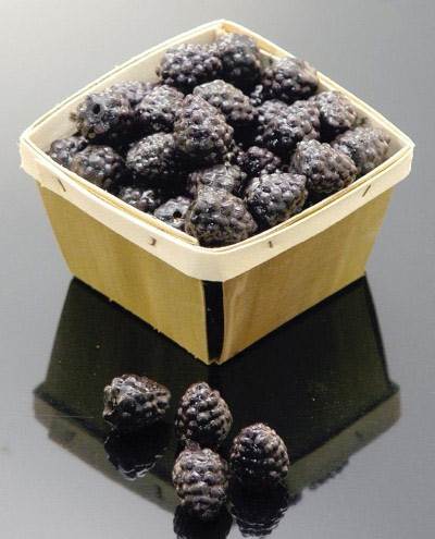 Basket (Blueberry)