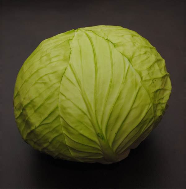 Cabbage Head (Green)