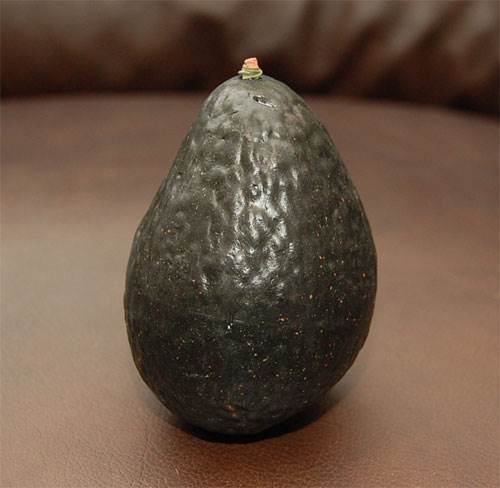 Avacado