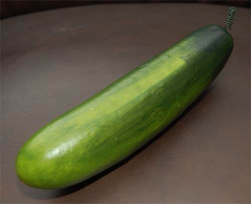 Cucumber