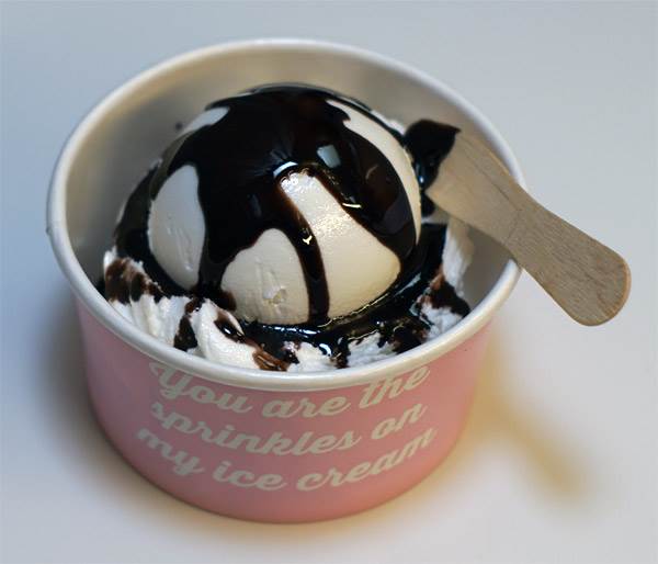 Ice Cream Cup - Vanilla