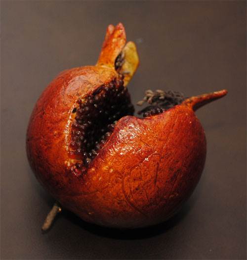 Pomegranate (Split)