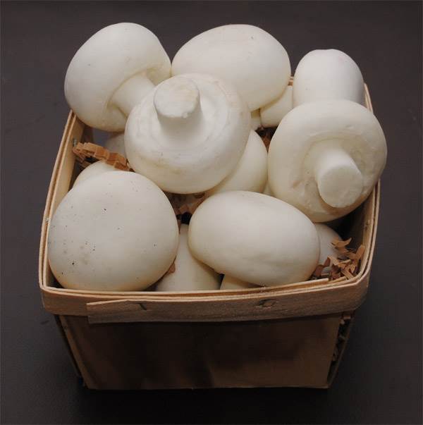 Basket (Mushrooms)