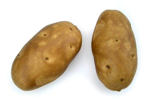 Potato Russet