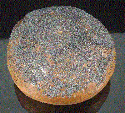 Round Loaf (Poppy)