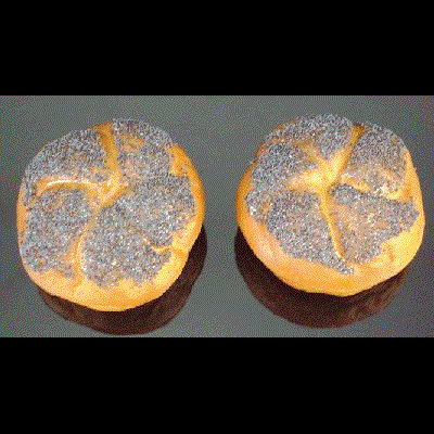 Kaiser Rolls (Poppy)