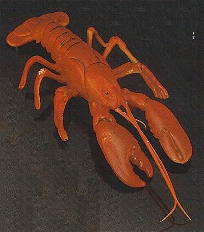 Small Maine Lobster