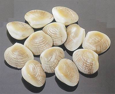 Whole Clams