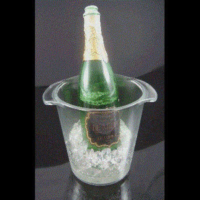 Champagne in Bucket