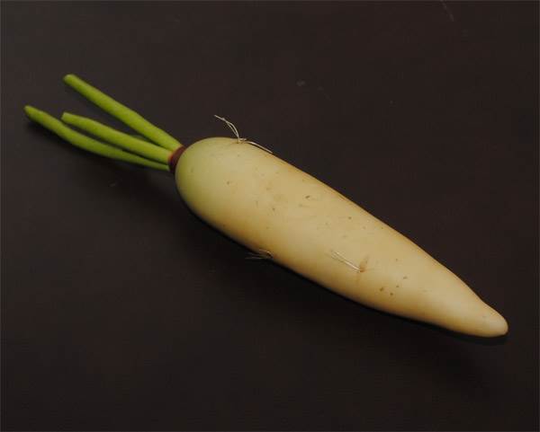 Radish- White