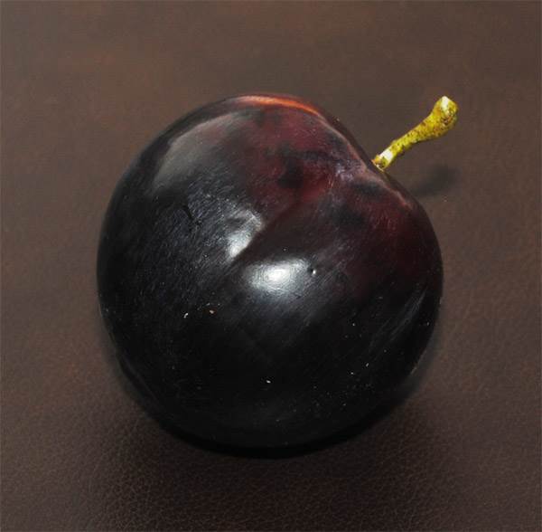 Plum