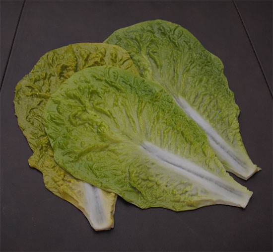 Cabbage Leafs