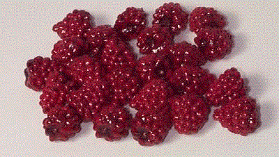 Raspberries