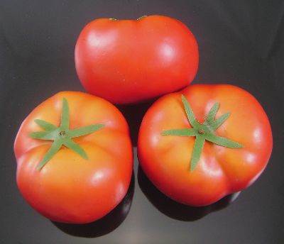 Tomatoes (Beefsteak)