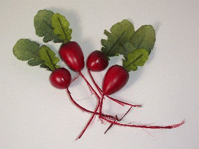 Radishes