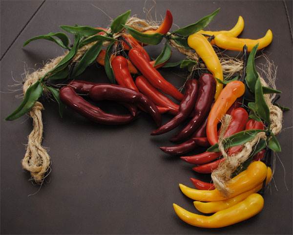 Chili Pepper Garland