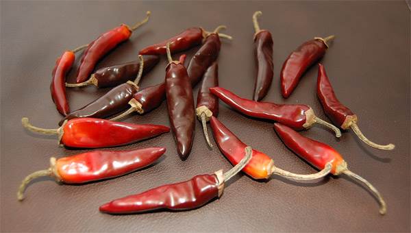 Chili Peppers (Small)