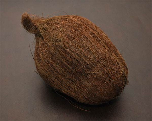 Coconut