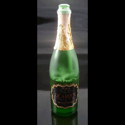Foaming Champagne Bottle
