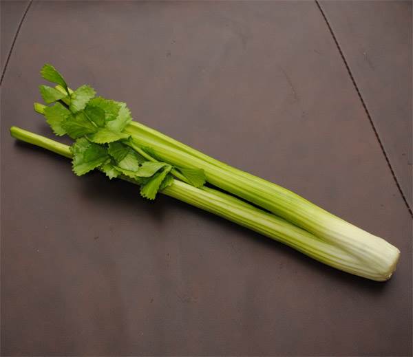 Celery Bunch