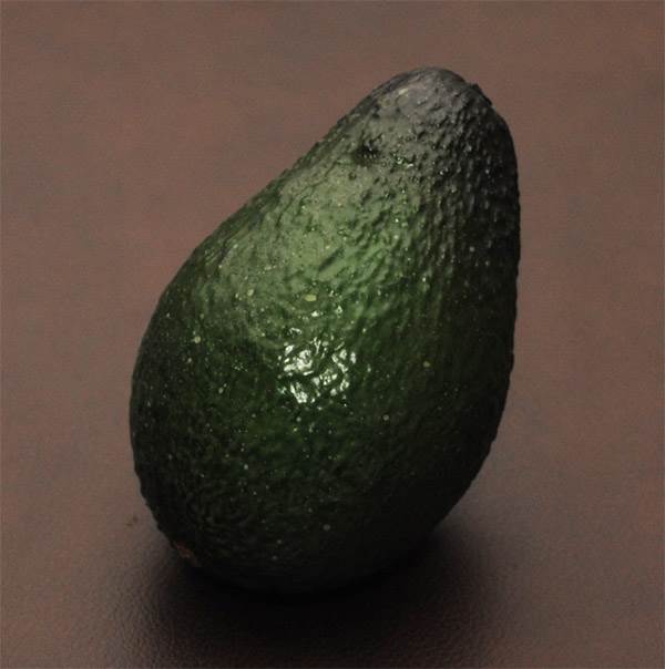 Avocado