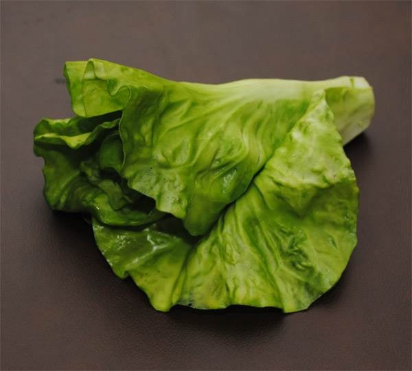 Lettuce