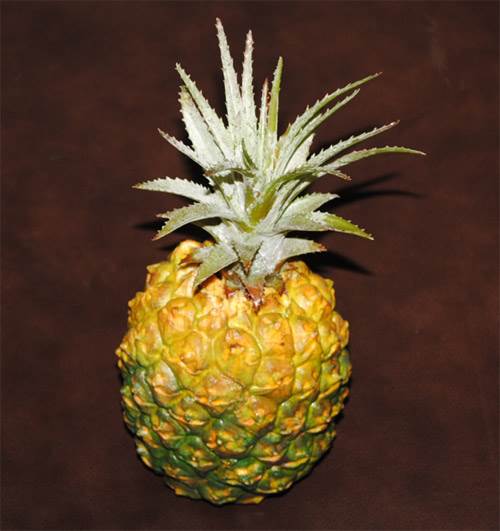 Pineapple #4