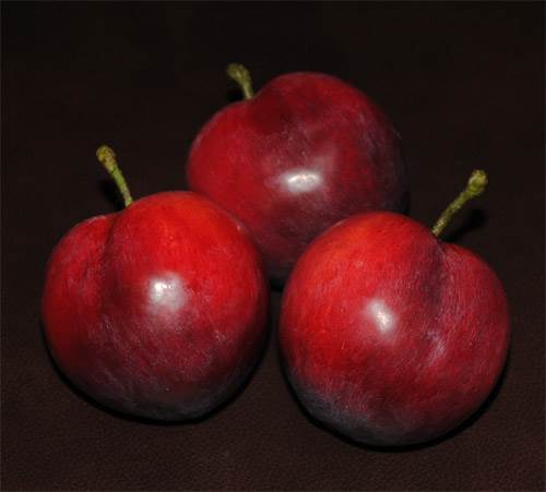 Plums (Red)