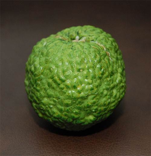 Hedge Apples