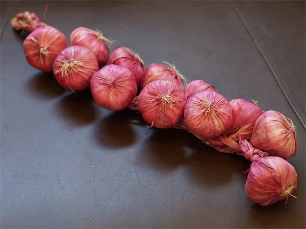 Garlic Garland (Purple)