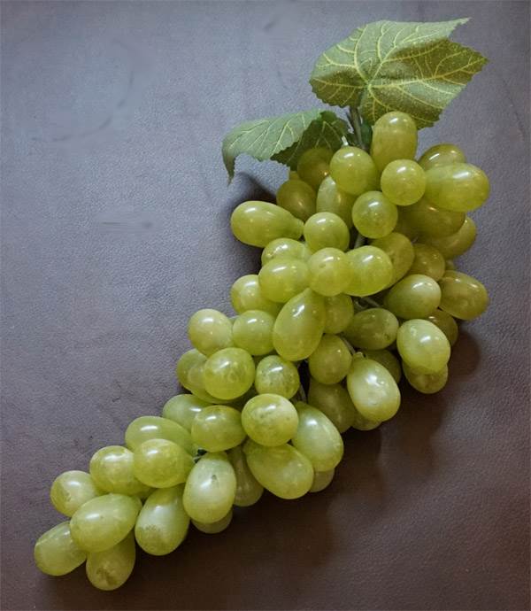 Grapes #5