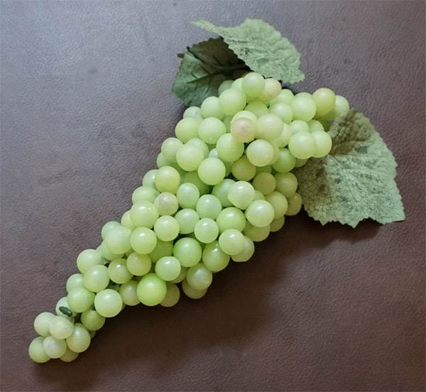 Grapes #8