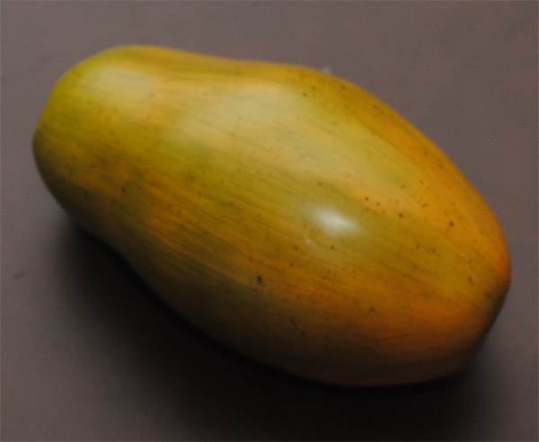 Papaya