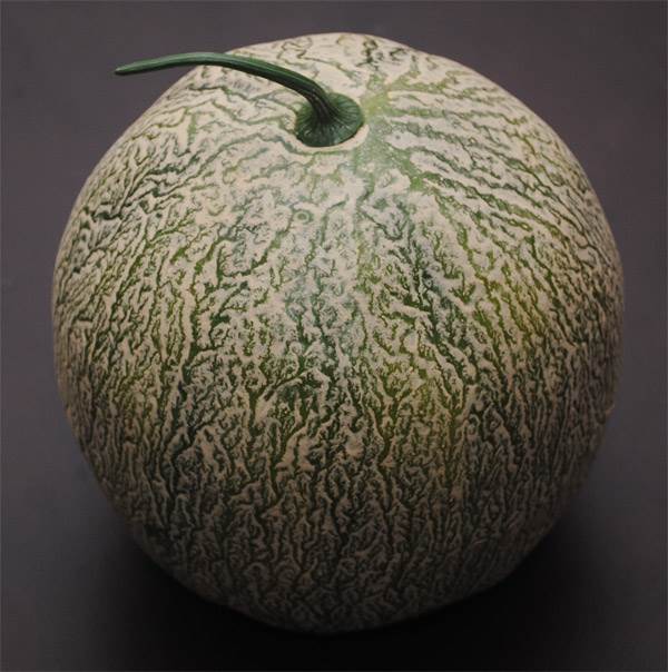 Cantaloupe