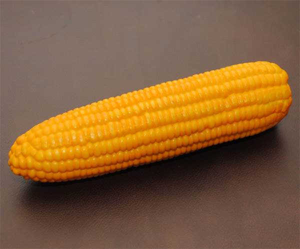 Corn Cob